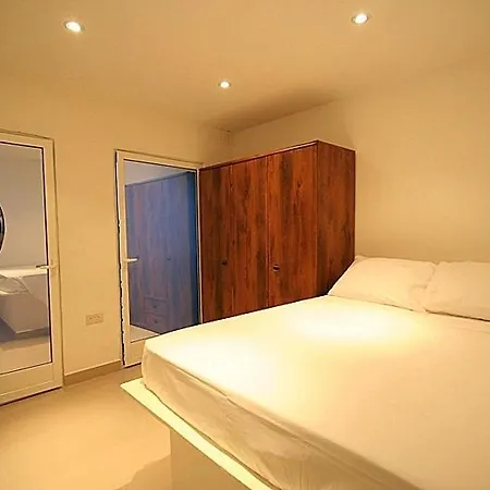 公寓 Old Mint Penthouse *